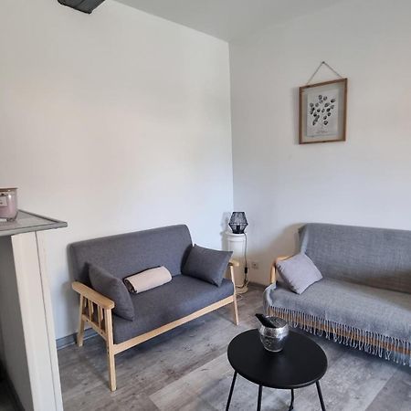 Apt 2 Pieces Cosy Le Rimbaud Charleville-Mézières المظهر الخارجي الصورة